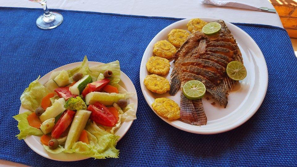 Hotel Finca Playa Venecia 리바스 외부 사진